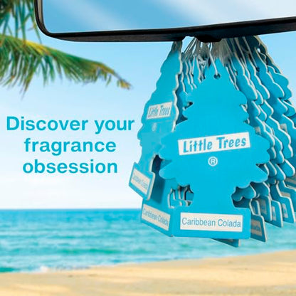 LITTLE TREES Car Air Freshener | Hanging Tree Provides Long Lasting Scent for Auto and Home | 24 Air Fresheners |Fresh Shave - color: Fresh Shave, size: 6 Count (Pack of 4)
