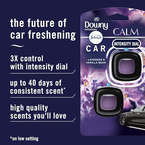 Febreze Car Vent Clip, Downy Calm Scent, 2 Count, 0.13 oz Total - size: 0.07 Fl Oz (Pack of 2)