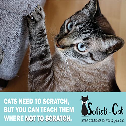 Sofisti - Cat Scratch Deterrent Tape for Furniture – 10 Double Sided Anti Scratching Sticky Tape - Cat Scratch Furniture Protector – Cat Training Tape Teaches Your Kitty Not to Scratch Your Couch - size: 10 sheets