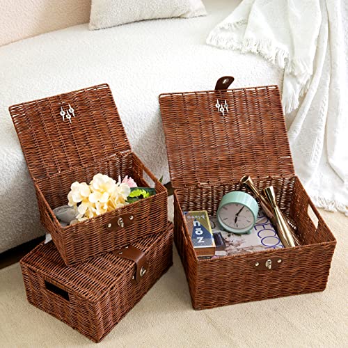 Set of 3 Woven Wicker Storage Basket Box with Lids & Lock, Built-in Carry Handles, Multifunctional Storage Organizer for Nursery, Baby, Clothes, Toys, Books, Large/Medium/Small Size (Natural)