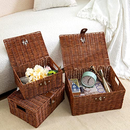 Set of 3 Woven Wicker Storage Basket Box with Lids & Lock, Built-in Carry Handles, Multifunctional Storage Organizer for Nursery, Baby, Clothes, Toys, Books, Large/Medium/Small Size (Natural)