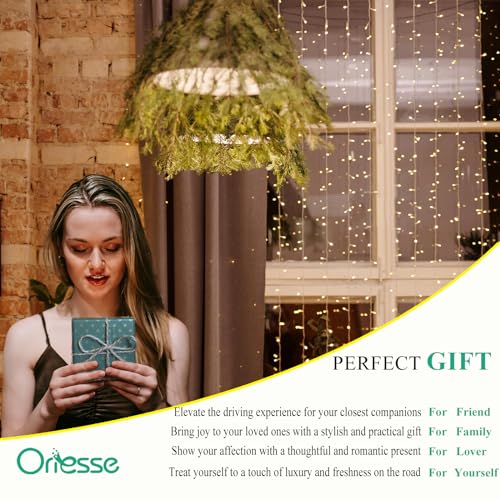 ORIESSE 5pcs Flowers Ladybug Air Vent Clips Car Accessories Set 2pcs White Daisy Flower Car Air Freshener Vent Clips 3pcs Vent Decoration Interior Aesthetic Clips Refillable Diffuser