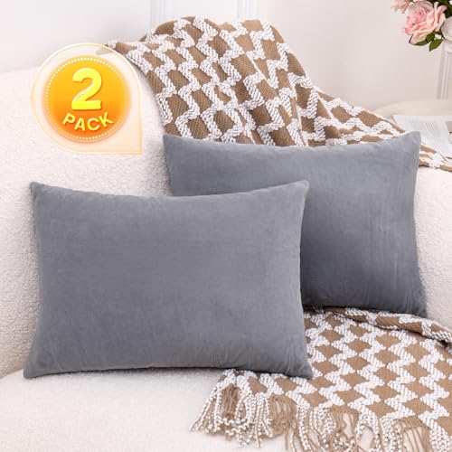 1 MIDDLE ONE 2 Pack Small Pillow, 16 X 12 Inches, Memory Foam Mini Pillow for Travel, Camping, Sleeping, Nap and Neck, Knee, Lumbar Support, Tiny Cushion for Pet, Dogs (Grey) - color: Grey, size: 16x12 inch