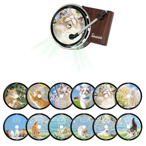 Maicican 12 PCS Starry Sky Cat Car Air Freshener Vent Clip, Cute Car Air Freshener with Record Player Design, Unique Car Accessories and Decor for Music Lovers or Cat Lover (Customized Black A) - color: Customized Black A