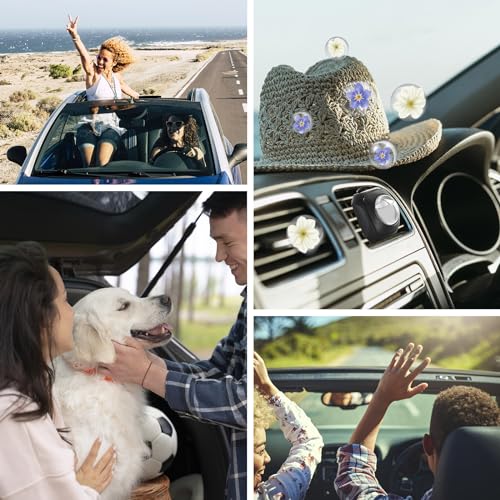 Car Air Fresheners, 6 Pack, Fresh, Car Fresheners Vent Clips, Long Lasting Air Freshener, Car Refresher for Men Women