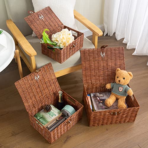 Set of 3 Woven Wicker Storage Basket Box with Lids & Lock, Built-in Carry Handles, Multifunctional Storage Organizer for Nursery, Baby, Clothes, Toys, Books, Large/Medium/Small Size (Natural)