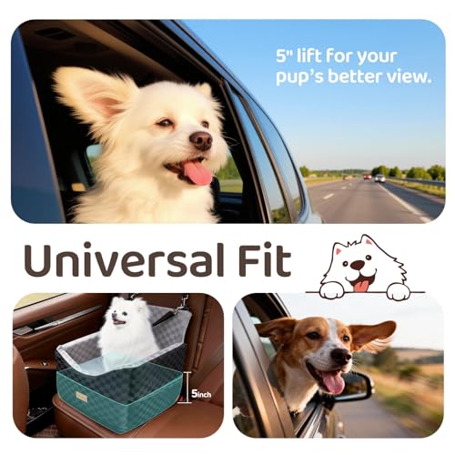 Dog Car Seats for Small Medium Dogs Up to 35lbs | Elevated Dog Booster Seat with Detachable Washable Cover & Cushion | Memory Foam Pet Car Travel Seat with Safety Belt and Storage Pockets (Black Grey)