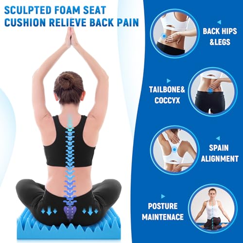 Geiserailie 2 Pcs Egg Foam Pad Eggs Chair Cushion to Relieve Back Foam Seat Cushion Chair Accessories Pad for Office Recliner Wheelchair Home Car (Egg, Blue)