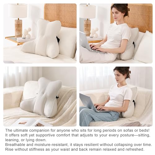 Lumbar Support Pillow(Pat. Pend) – Multi-Functional Ergonomic Back Cushion for Sofa Chair, Car Seat & Sofa, Reading Pillow with Firm Multi-Zone Support to Relieve Lower Back Pain, Misty White