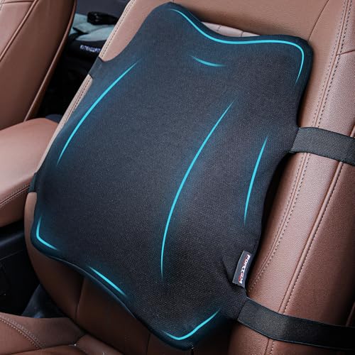 FORTEM Lumbar Support Car Cushion, Memory Foam Back Pillow, Back Rest for Comfort Driving, Adjustable Straps, Washable Cover - size: M (Back)