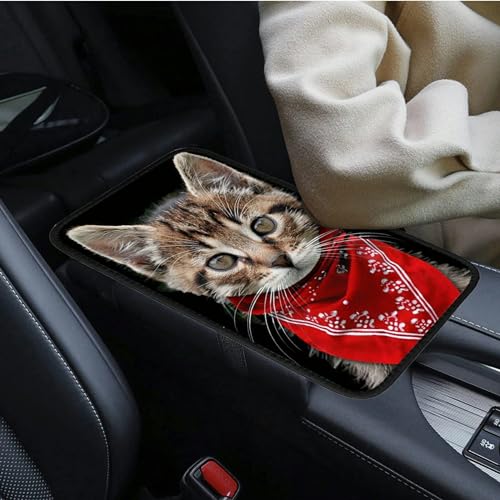 Universal Auto Center Console Pad and 2Pcs Car Coasters Set, Anti Slip Soft Neoprene Car Armrest Seat Box Cover Protector Universal Fit - Car Interior Accessories, Cat - color: 490