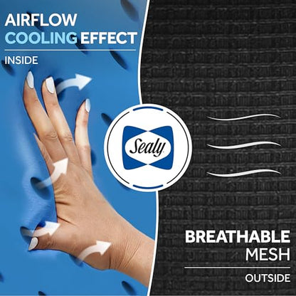Sealy Memory Foam Neck Pillow for Car or Office Chair – Cervical Neck Pillow, Cooling Car Headrest Pillow or Office Chair Cushion for Neck