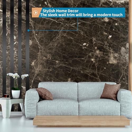 Wall Trim Peel and Stick 16.4 ft x 2 in, Flexible Stainless Steel Molding for Wall, Ceiling, Fireplace, Furniture, Door, Mirror Frame, Craft Decoration (Brushed Black)