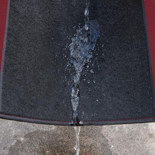 CAR PASS Waterproof Universal Fit Car Floor Mats, Car Mats Fit for SUV,Vans,sedans, Trucks,Set of 4pcs Car Carpet with Driver Heel Pad（Black and Burgundy） - color: Black and Burgundy