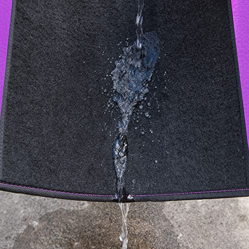 CAR PASS Waterproof Universal Fit Car Floor Mats, Faux Leather Car Carpet Mats with Anti-Slip Nibbs Backing & Driver Heel Pad Fit for SUV,Vans,sedans, Trucks,Set of 4pcs for Women (Black with Purple) - color: Purple