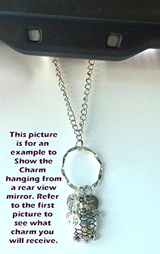 Rear View Mirror Car Charm Ornament, Sun Catcher, Hanging Pendant, Stainless Steel Chain and Crystal Accents, Packaged in a Gift Bag (Not All The Wander are Los) - size: Not All The Wander are Los