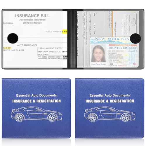 UYYE Car Registration and Insurance Card Holder, Vehicle Glove Box Car Organizer, Interior Car Accessories for Documents, Cards, License - 2 Pack - color: Lichee Blue