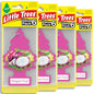 LITTLE TREES Car Air Freshener | Hanging Tree Provides Long Lasting Scent for Auto and Home | 24 Air Fresheners |Dragon Fruit - color: Dragon Fruit, size: 6 Count (Pack of 4)