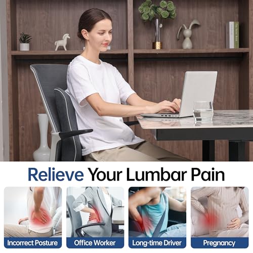 Plush Comfortable Memory Foam Lumbar Support Pillow - Soft Back Cushion for Office Chair, Car Seat, Gaming Chair - Ergonomic Lower Back Pain Relief with Adjustable Straps & Washable Cover-Dark Grey