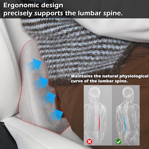 Lumbar Support Pillow for Car, Ergonomic Memory Foam Back Cushion for Driving, Seat Office Chair, Gaming Chair, Lower Back Support for Back Pain Relief, Gray, 2 Pack - color: Gray, size: Lumbar 2P