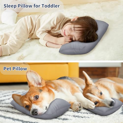 Pro Goleem Small Pillow 11"x7"x2.5" for Baby Sleeping with Name Tag Mini Tiny Pillow for Room Couch Sofa Chair and Outdoor Car Air Nap Neck Lumbar Knee Rest Pillows, Gray - color: Gray