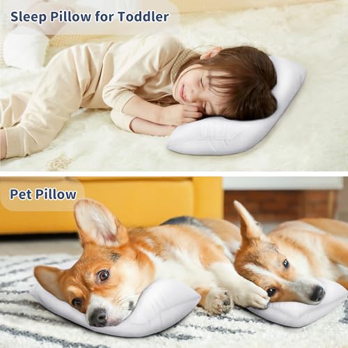 Pro Goleem Small Pillow 11"x7"x2.5" for Kids and Baby Sleeping with Name Tag Mini Tiny Pillow for Camping and Chair Car Air Nap Neck Lumbar Knee Rest Pillows, White - color: White