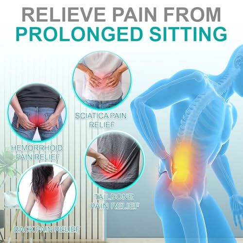 Seat Cushion for Office Chair, Car and Wheelchair Use, with Lumbar Support Pillow and Memory Foam Coccyx Cushion for Tailbone, Back, Sciatica, Ergonomic seat Cushion