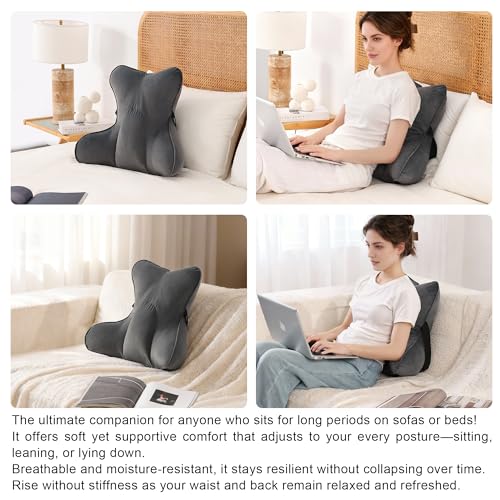 Lumbar Support Pillow (Pat. Pend) for Office Chair, Couch, Recliner & Car Seat, Ergonomic Back Support for Lower Back Comfort, with Adjustable Strap to Stay in Place, Steel Gray - color: Steel Gray