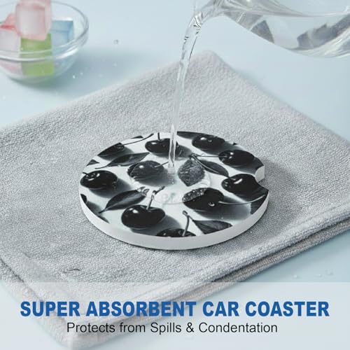 Ceramic Car Coasters, 2 Pack, 2.64" Absorbent Car Cup Holder Coasters, Cute Ceramic Car Coasters for Women, Black Cherry Pattern - color: Black Cherry