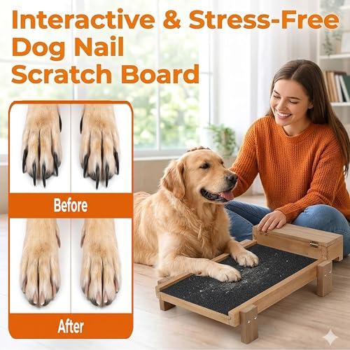 Dog Nail Scratch Board Sandpaper | Self-Adhesive Door Protector from Dog Scratching | Durable Scratch Pad Strips for Dogs | Alternative to Nail Trimmers & Grinders (10in x 10ft) (Black)