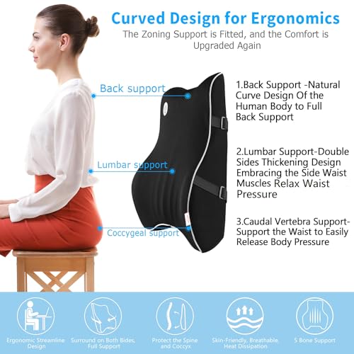 Lumbar Support Pillow,Memory Foam Back Support for Office Chair,Computer Chair,Car Seat,Recliner and Couch with Breathable 3D Mesh Cover,Ergonomic Design Orthopedic Backrest for Back Pain Relief