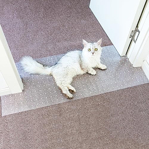 Carpet Protector for Pets Cat Carpet Protector Repellent Barrier for Doorway Corner Anti Scratch Under Door Cat Scratch Protector Mat, Easy to Cut Plastic Stopper (Clear, 3.6FT-1pack) - color: Clear, size: 3.6FT × 15" -1pack