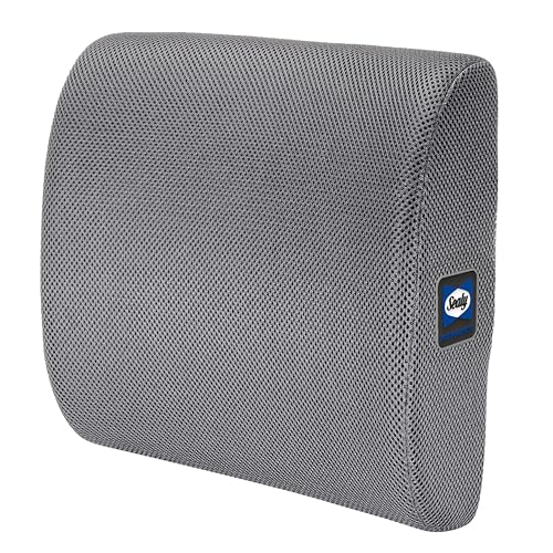 Sealy Ergonomic Lumbar Support Pillow for Office Chair and Car Seat - Memory Foam Back Support Lumbar Pillow, Premium Cushion Chair Support for Lower Back Pain Relief and Versatile Use (Gray)
