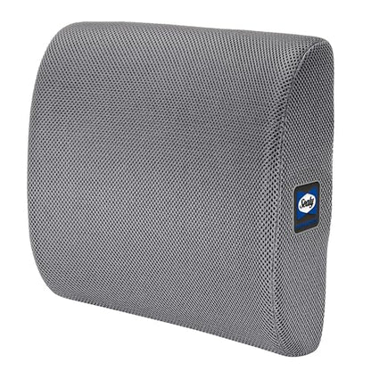 Sealy Ergonomic Lumbar Support Pillow for Office Chair and Car Seat - Memory Foam Back Support Lumbar Pillow, Premium Cushion Chair Support for Lower Back Pain Relief and Versatile Use (Gray)