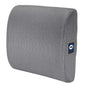 Sealy Ergonomic Lumbar Support Pillow for Office Chair and Car Seat - Memory Foam Back Support Lumbar Pillow, Premium Cushion Chair Support for Lower Back Pain Relief and Versatile Use (Gray)