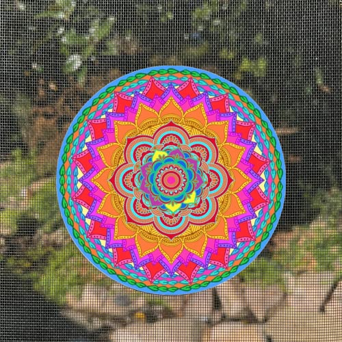 Screen Door Magnets Double Sided – Keep People, Kids, and Dogs from Running into a Screen Door. Saver - Robbins Aria Rainbow Mandala - color: Rainbow