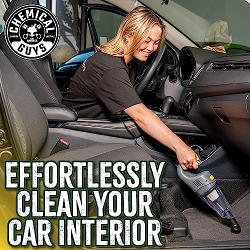 Chemical Guys EQP410 DetailVac Handheld Portable Car Vacuum, 110w 8.8amp Electric Motor, (Great for Cars, Trucks, SUVs, Motorcycles, RVs, Home, Pets, Kids, Office, and On The Go) Gray