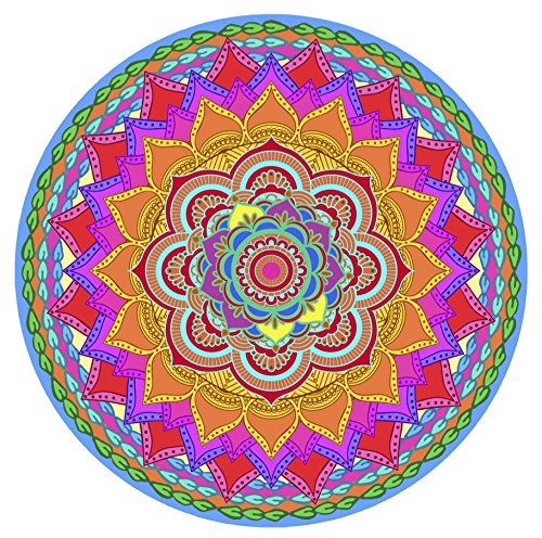Screen Door Magnets Double Sided – Keep People, Kids, and Dogs from Running into a Screen Door. Saver - Robbins Aria Rainbow Mandala - color: Rainbow
