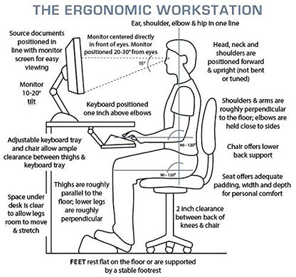 FOMI Firm Gel Foam Back Support (14" x 15") Care | Upper Lower Thoracic and Lumbar Support for Car, Home, Office Chair | Promotes Healthy Posture, Sciatica Pain Relief